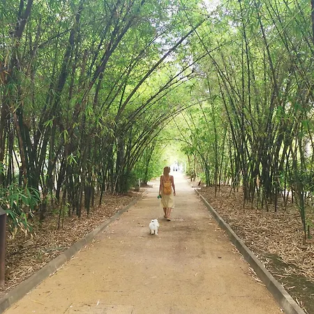 Home2book Bright Stadium Apartment, Cruz *