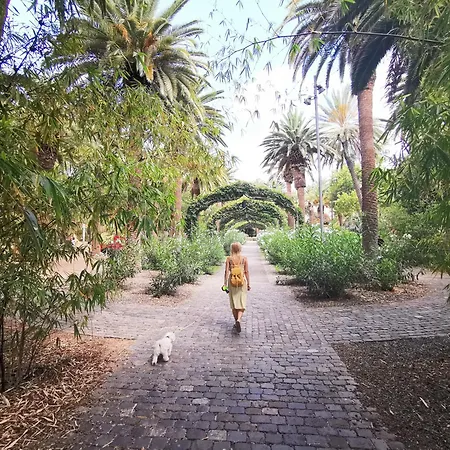 Appartamento Home2book Bright Stadium Apartment, Cruz *