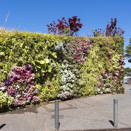 Home2book Bright Stadium Apartment, Cruz